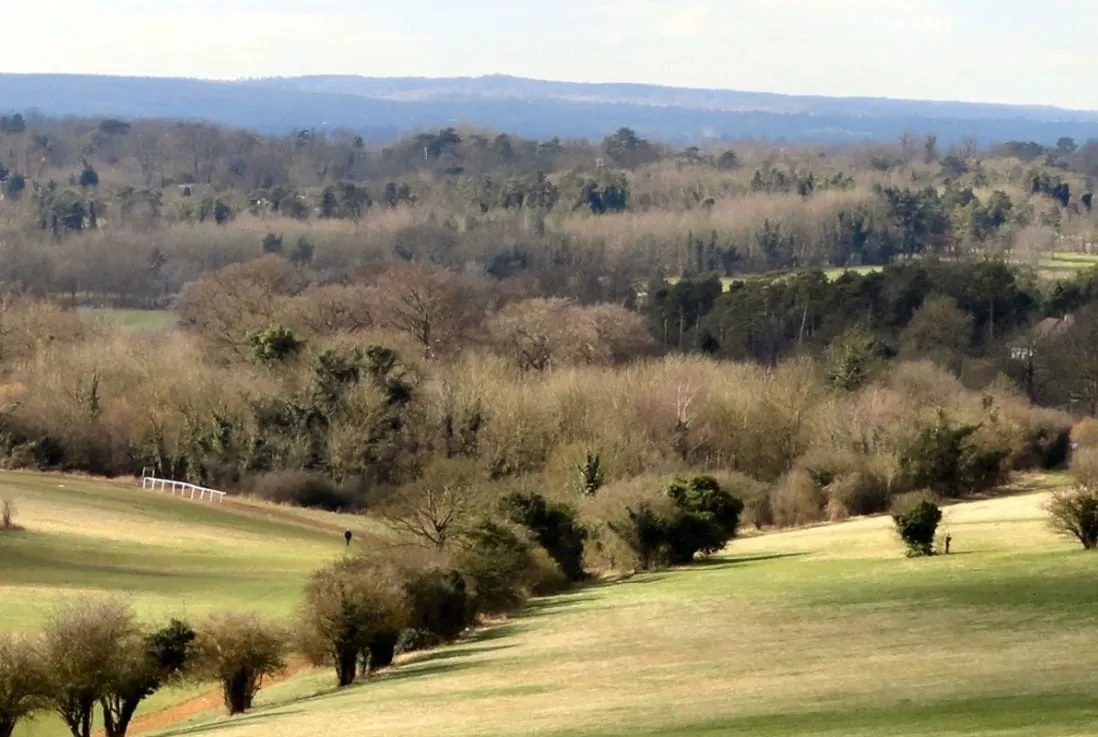 Epsom Downs