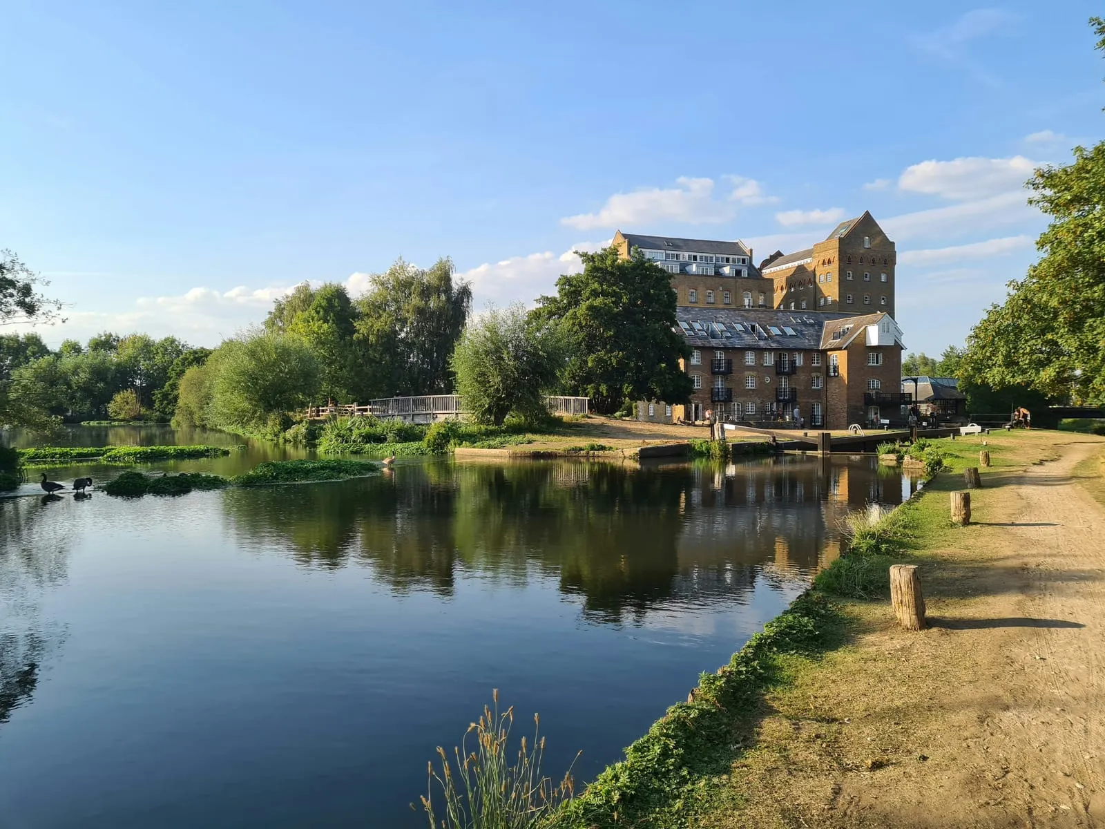 The riverside near Esher, Surrey