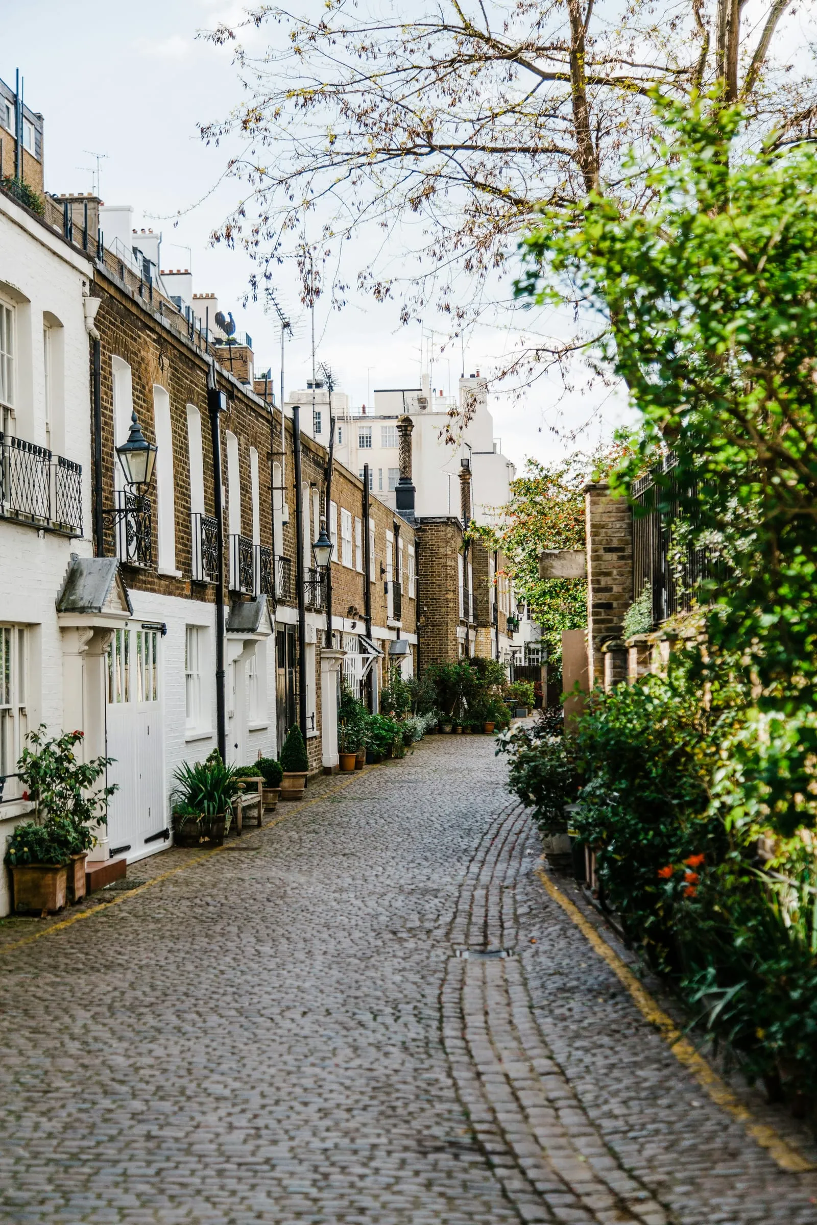 A cobbled mews street in Kensington & Chelsea